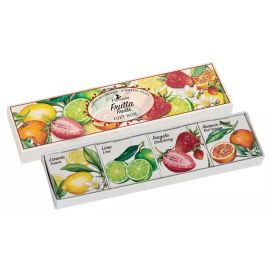 Dárková kazeta s rostlinnými mýdly Frutta Florinda 4x25 g