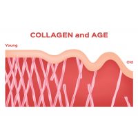 Kdy a proč začít užívat kolagen?