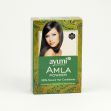 Přírodní vlasový kondicionér Ayumi Prášek AMLA - 100 g